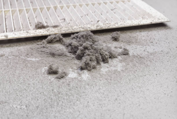 Best Air Duct Cleaning Near Me  in Camp Wood, TX