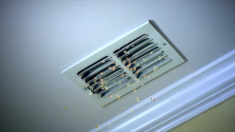Best Affordable Air Duct Cleaning  in Camp Wood, TX