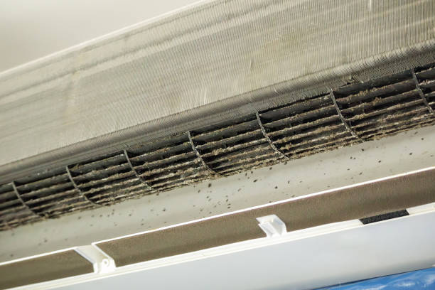 Best Affordable HVAC Duct Cleaning  in Camp Wood, TX